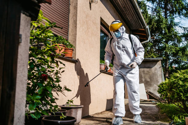 Best Affordable Pest Control Services  in Dade City, FL