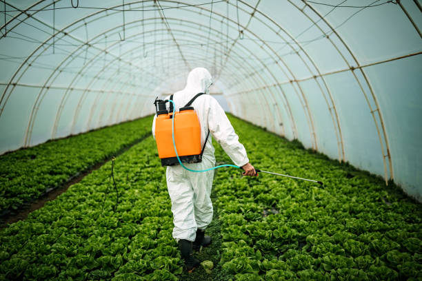 Trusted Dade City, FL Pest Control Experts