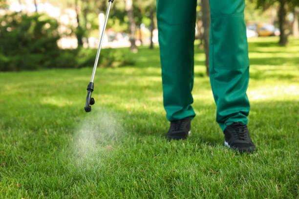 Reliable Dade City, FL Pest Control Solutions