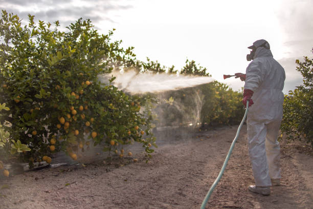 Best Emergency Pest Control  in Dade City, FL
