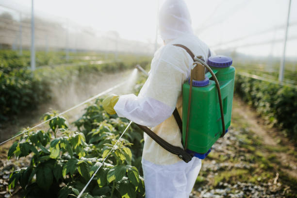 Best Residential Pest Control  in Dade City, FL